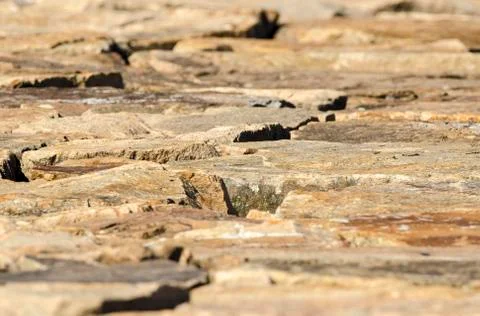 Surface of Fairhaven Dike Stock Photos