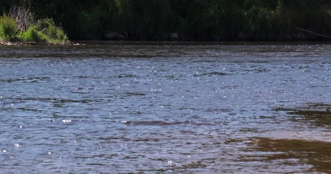 Surface of fast flowing river in summer, with sunlight glinting on the water Stock Footage 134856409