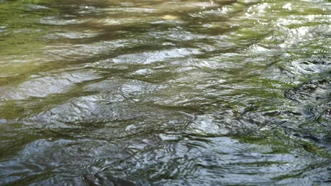 Surface of flowing river water Video stock 273076256