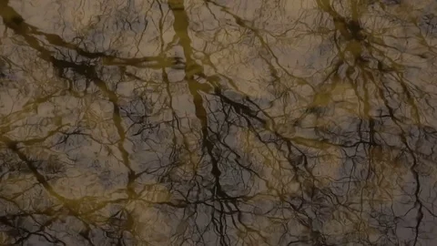 Surface of a forest stream. Slow motion Stock Footage 74139964
