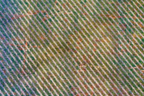 Surface of Geometry Modern Repeat Pattern with Textures Stock Photos