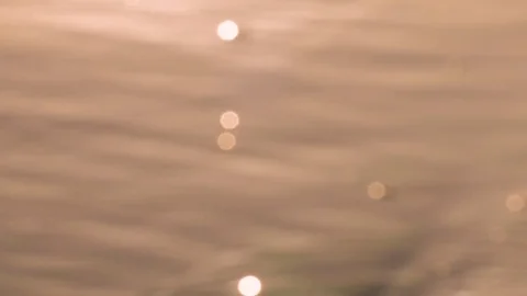 Surface of golden colored sea, blurred image Stock Footage 77730638