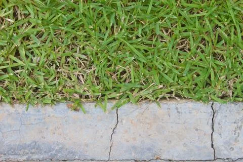 Surface grass and stone ground 스톡 사진