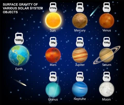 Surface gravity of Sun, Moon, Solar System planets vector infographic, education Ilustração Stock