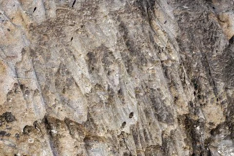 Surface of gray rough stone. Texture, natural stone background 写真素材