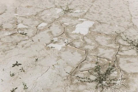 The surface of the ground cracked due to lack of moisture. Stock Photos