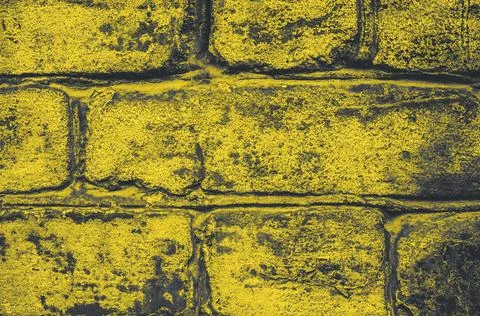 Surface of grunge brick wall painted in trendy illuminating yellow color of the Stock Photos