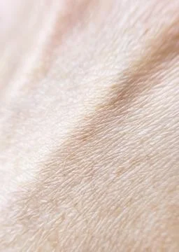 The surface of hand skin close up Stock Photos
