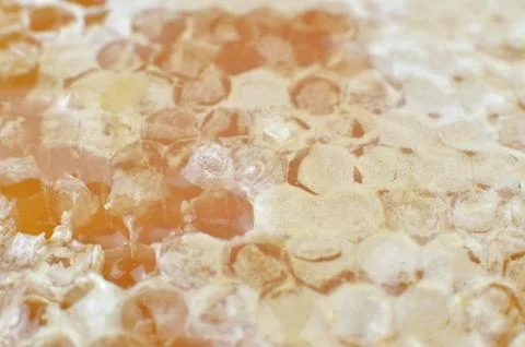 Surface of Honeycomb Stock Photos