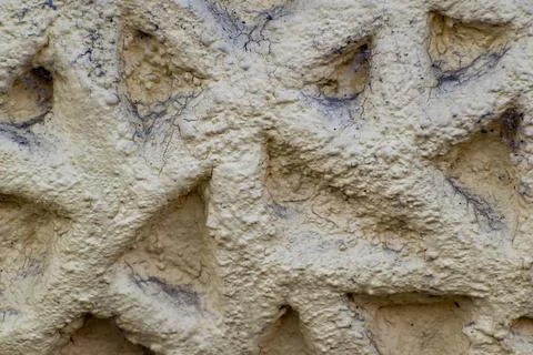 Surface of irregular raised shapes 写真素材