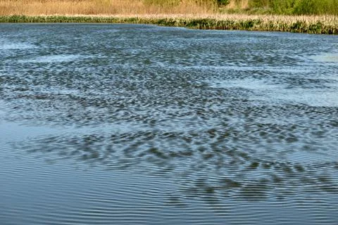 The surface of the lake is covered with not high waves. Stock Photos