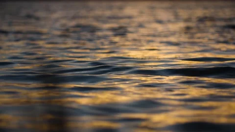 The surface of the lake, the golden sunset, the surface of the water is spar Stock Footage 257061896