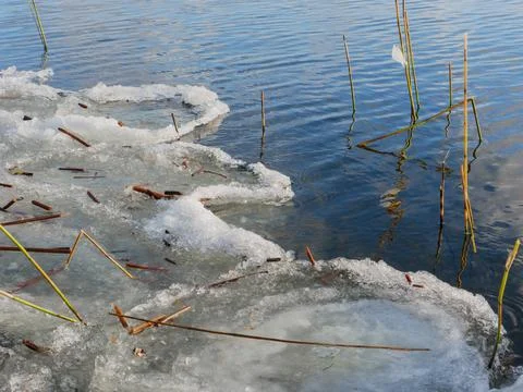 The surface of the lake. Stock Photos