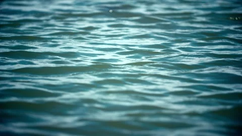 The surface of the lake is rippling Stock Footage 257164943
