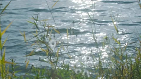 The surface of the lake is sparkling Stock-Footage 259547720