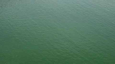 The surface of the lake water is moving slowly Stock Footage 292191635