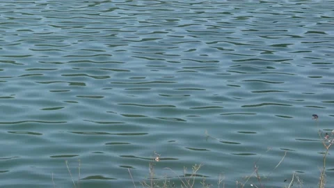 Surface of a lake, water waves making abstract patterns. Stock Footage 145042232