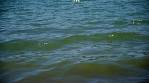 Surface of Lake, waves ride to shore HD Video stock 36923683