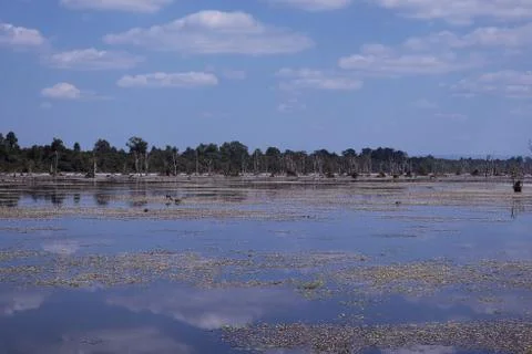 The surface of the lake, which reflects the clouds. Water surface. Stock Photos