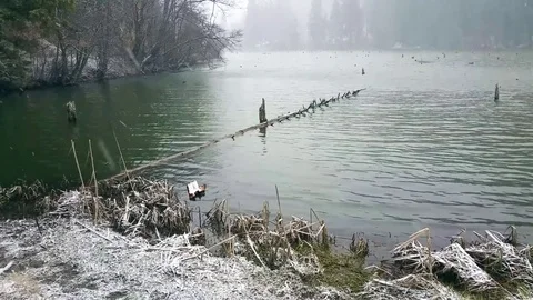 Surface of a lake while a snow storm Stock Footage 77017358