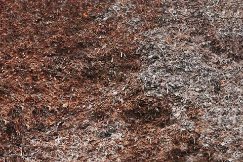 The surface of a large pile of rusty metal waste. Stock Photos