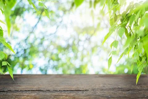 Surface with leaves on nature background Stock Photos