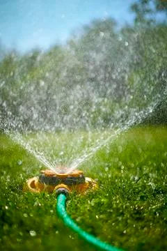 Surface level view of backyard sprinkler spraying Stock Photos