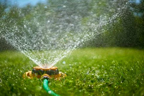 Surface level view of backyard sprinkler spraying Stock Photos