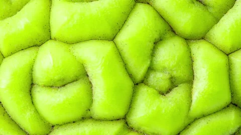 Surface of maclure fruit close-up 動画素材 310797369