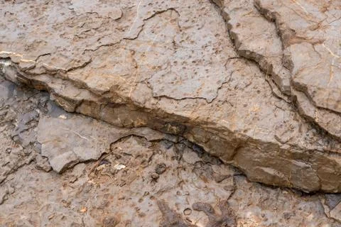 Surface of the marble with brown tint Stock-Fotos