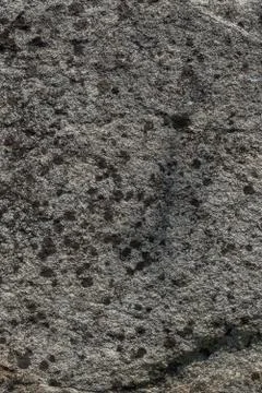 Surface of the marble with grey tint, Stone texture and background. Stock Photos