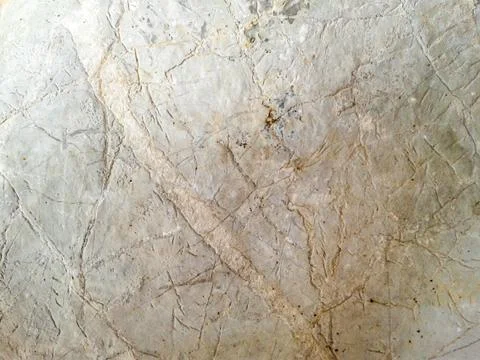 Surface of the marble stone background Stock Photos