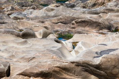 Surface of a marine stone Stock Photos