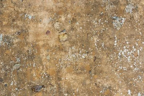 Surface material texture of old concrete Stock Photos