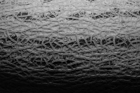 The surface of the melon texture background Stock-Fotos