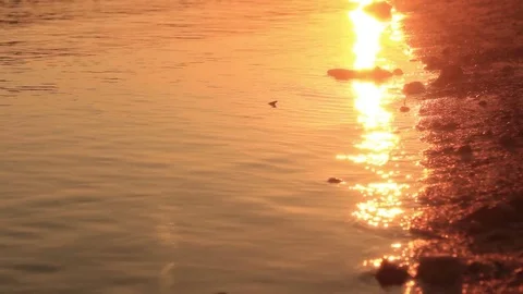 Surface of Mississippi River at Sunset, at Edge of Bank - MCU Stock Footage