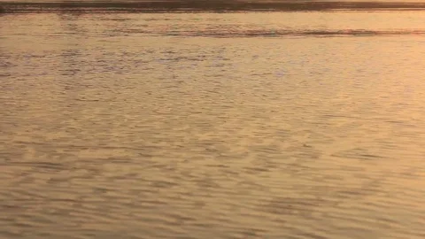 Surface of Mississippi River at Sunset - Wide Stock Footage 83088404
