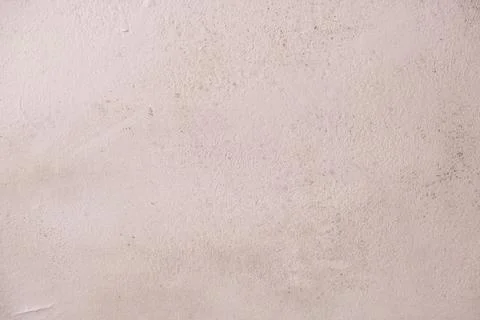 Surface in mold. Light wall in the room in mold. Stock Photos