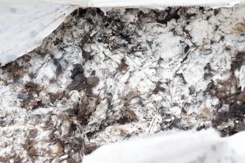 Surface of molded leaves Stock Photos