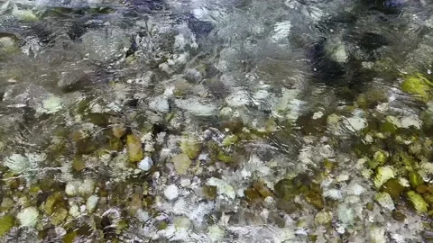 Surface of a mountain creek with crystal clear mountain water, stones at the Stock Footage 201939665