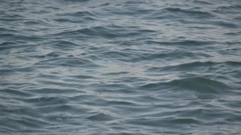 The surface of the ocean Vídeos de archivo 312088885