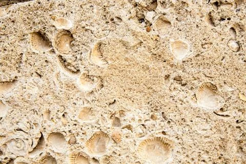 Surface of the old antique brown stone 스톡 사진