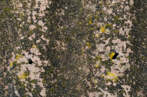 The surface of the old, corrugated slate. Close-up top view. Light gray slate is Foto stock