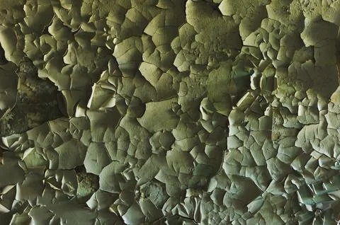 A surface with an old cracked paint splitting large pieces Stock Photos