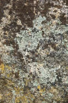 Surface of the old granite stone as a backdrop. Stock Photos