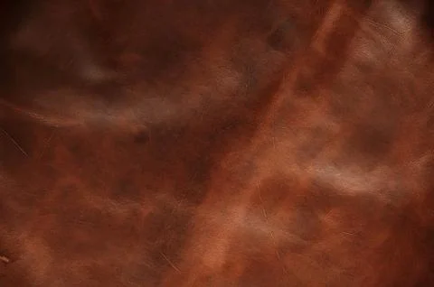 Surface of old leather. Stock Photos