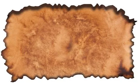 Surface of the old paper. Stock Photos