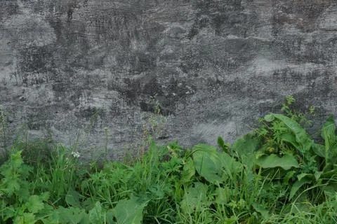 Surface of an old wall with cement plaster grunge background texture green gr Stock Photos