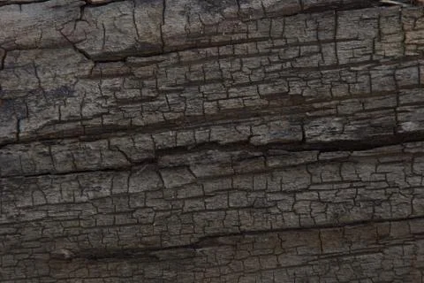 Surface of old wood texture background Stock-Fotos