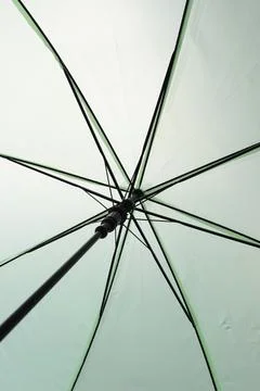 Surface of open green umbrella background Stock Photos